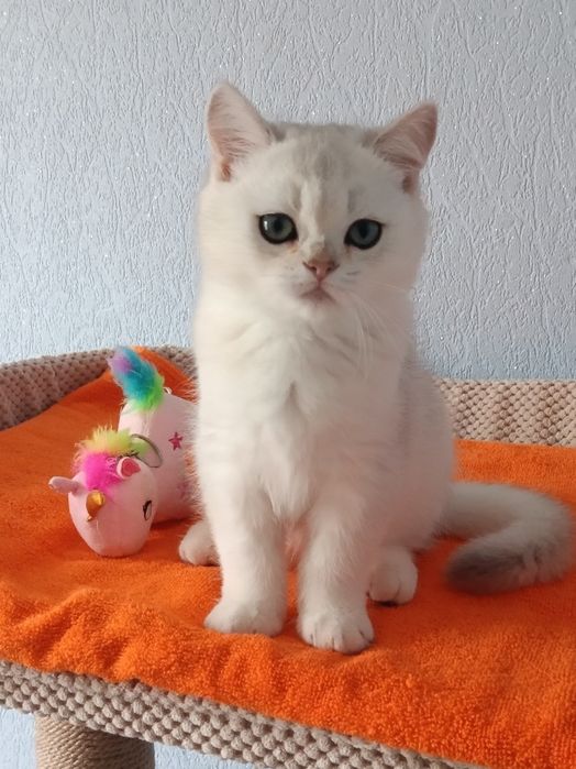 І буде Вам щастячко