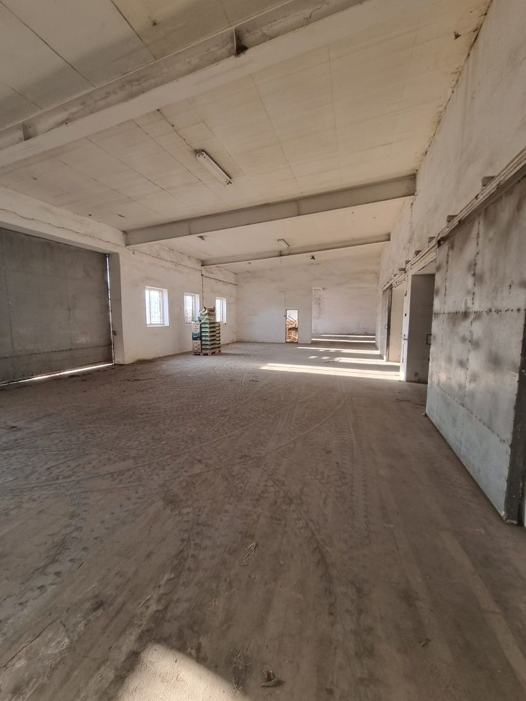 Do wynajęcia, Wynajmę magazyn hala 850m²