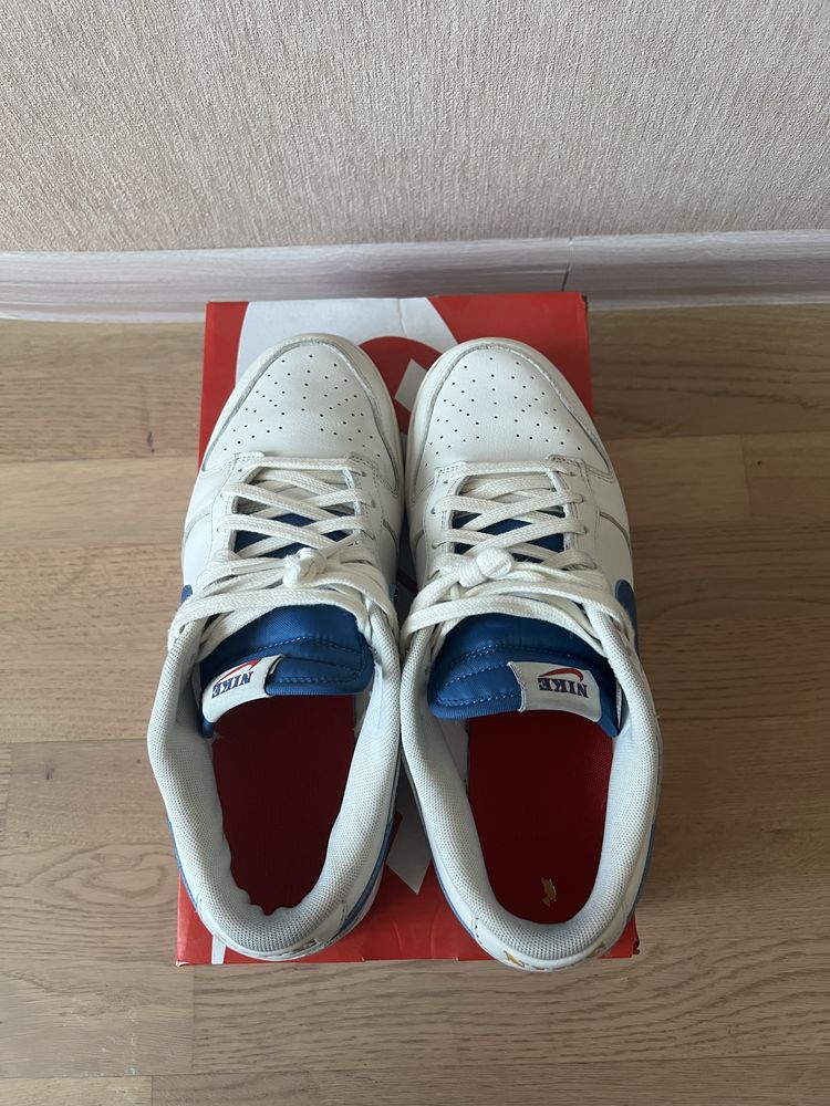 Nike dunk low SE