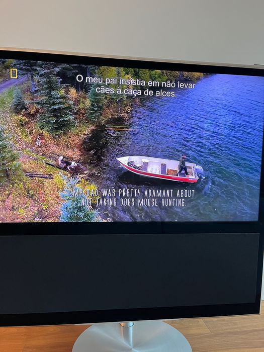 Bang Olufsen BeoVision tv 11 - 40”