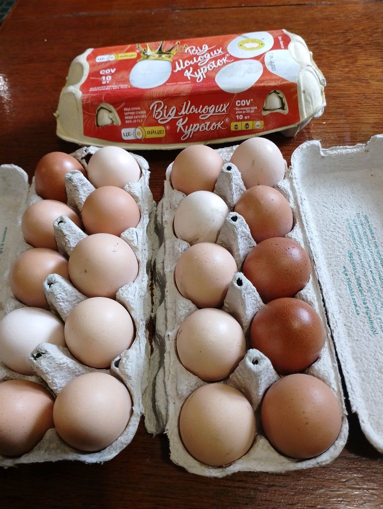Продам яйця домашні по 40 гр