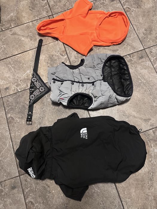 Жилетка комбінезон для француза/мопса М40