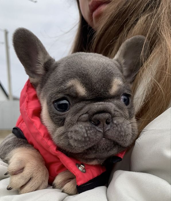 Новотипна дівчинка