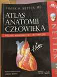 Atlas anatomii Netter
