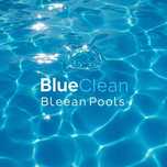 Limpeza e Manutenção de Piscinas - Certificado pela App Piscinas - 35€