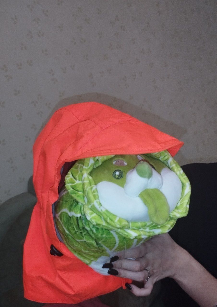 Капюшон        .