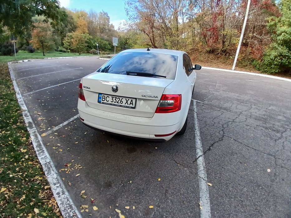 Шкода Октавия  2019г. А7  1.6л