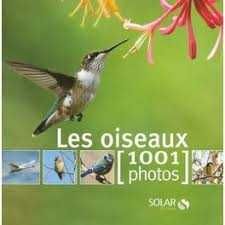 Les Oiseaux 1001 Photos  original