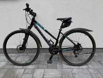 Rower Kellys Cross CLEA 90
