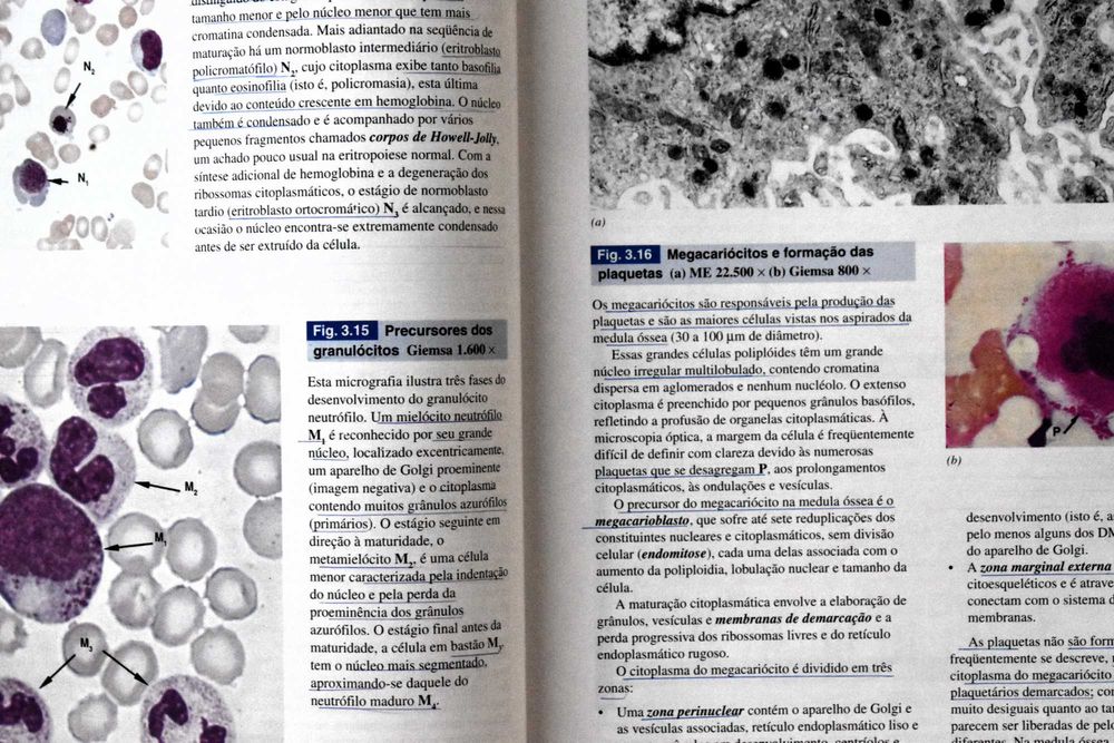 Wheater - Histologia Funcional (Texto e Atlas em Cores)