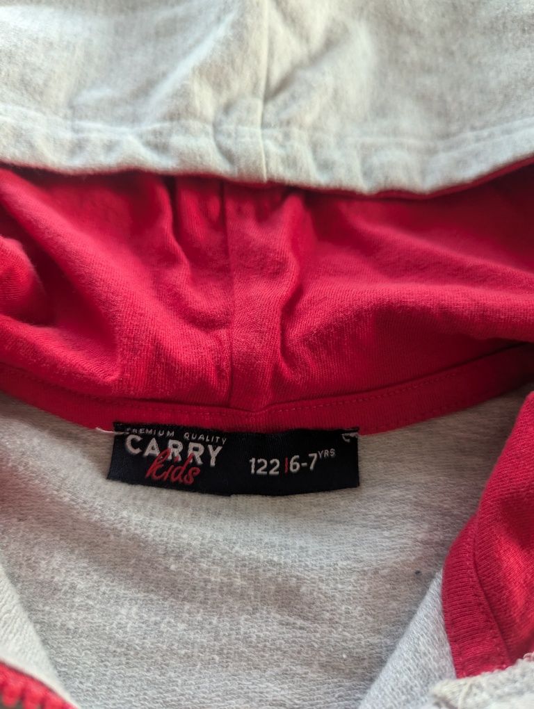 Bluza szara Carry rozm 122 na 6-7 lat unisex