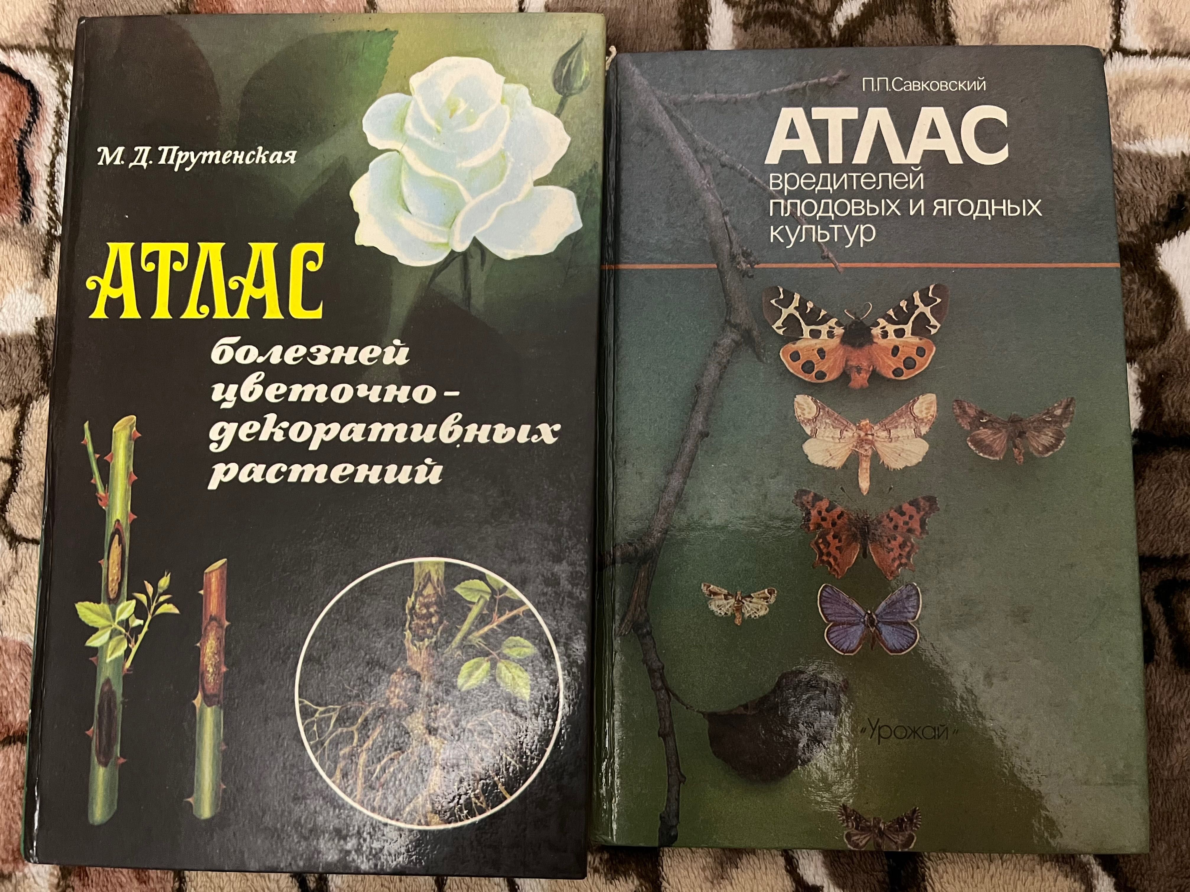 Ландшафтний дизайн Атлас хвороб і шкідників Все про троянди