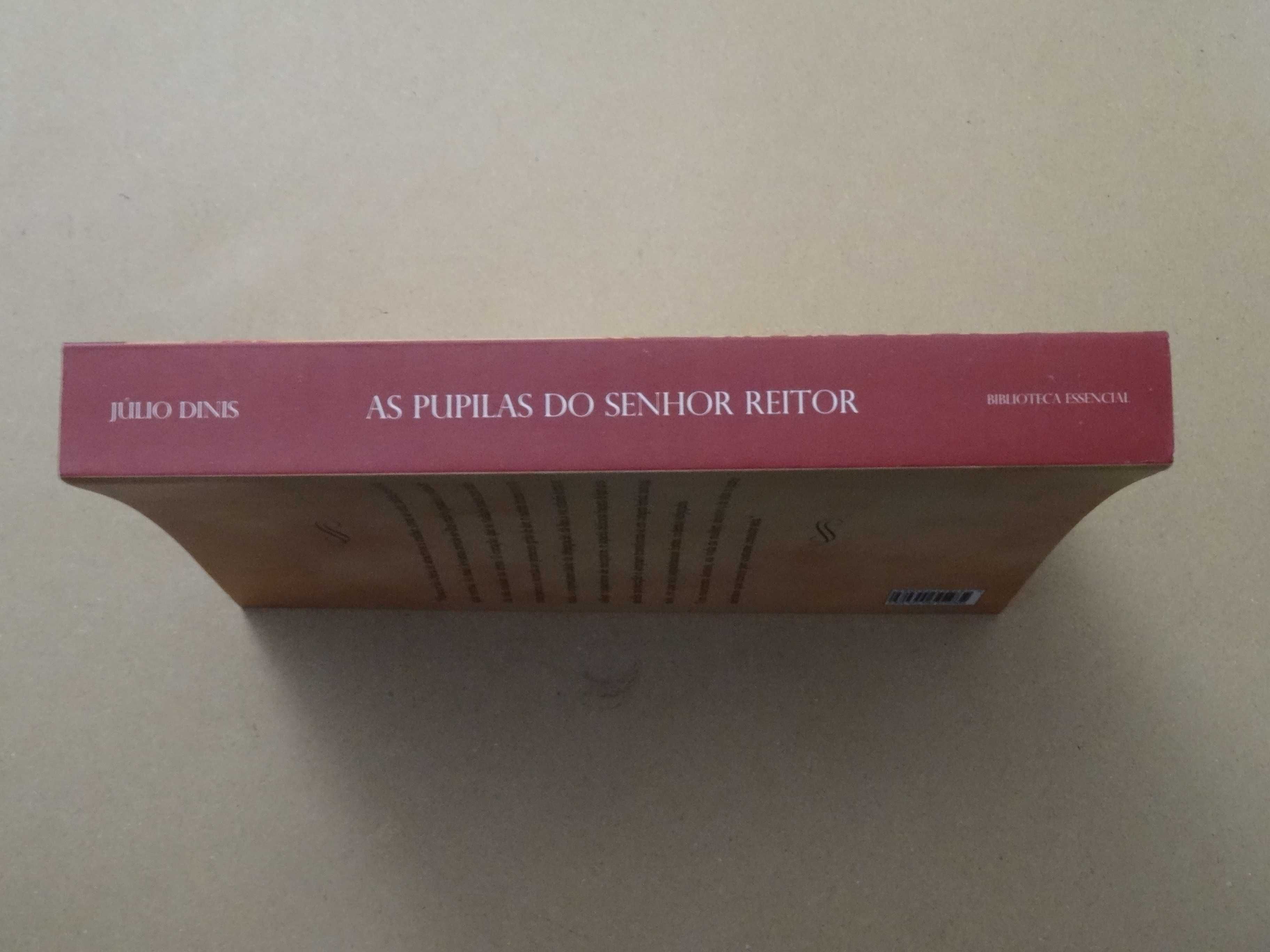 As Pupilas do Senhor Reitor de Júlio Dinis