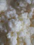 Kefir de leite (Flor de iogurte)