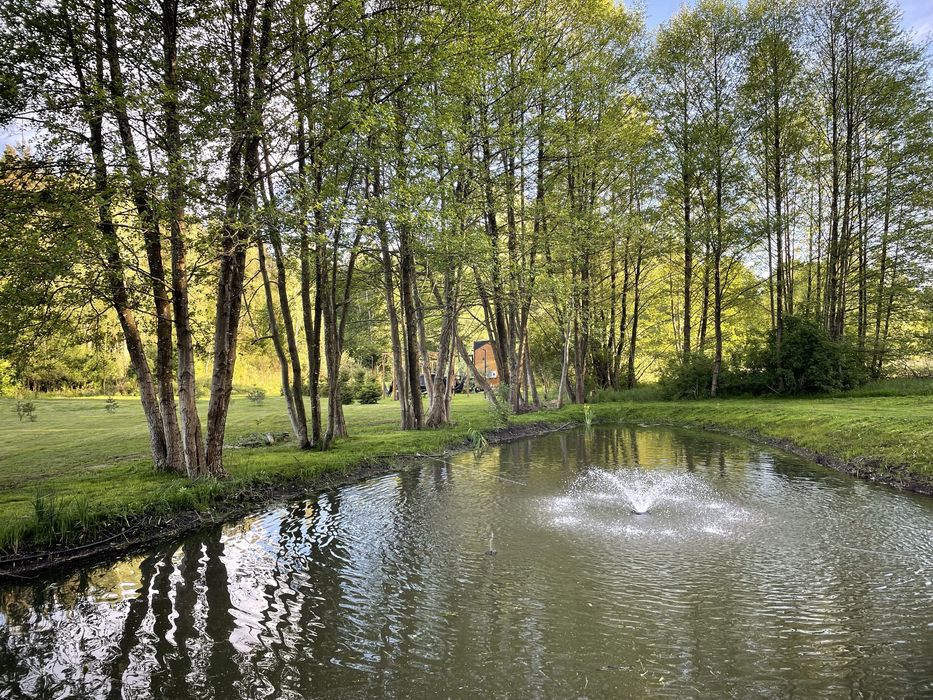 Tiny silent house domek wynajem wynajme las natura cisza jacuzzi bania