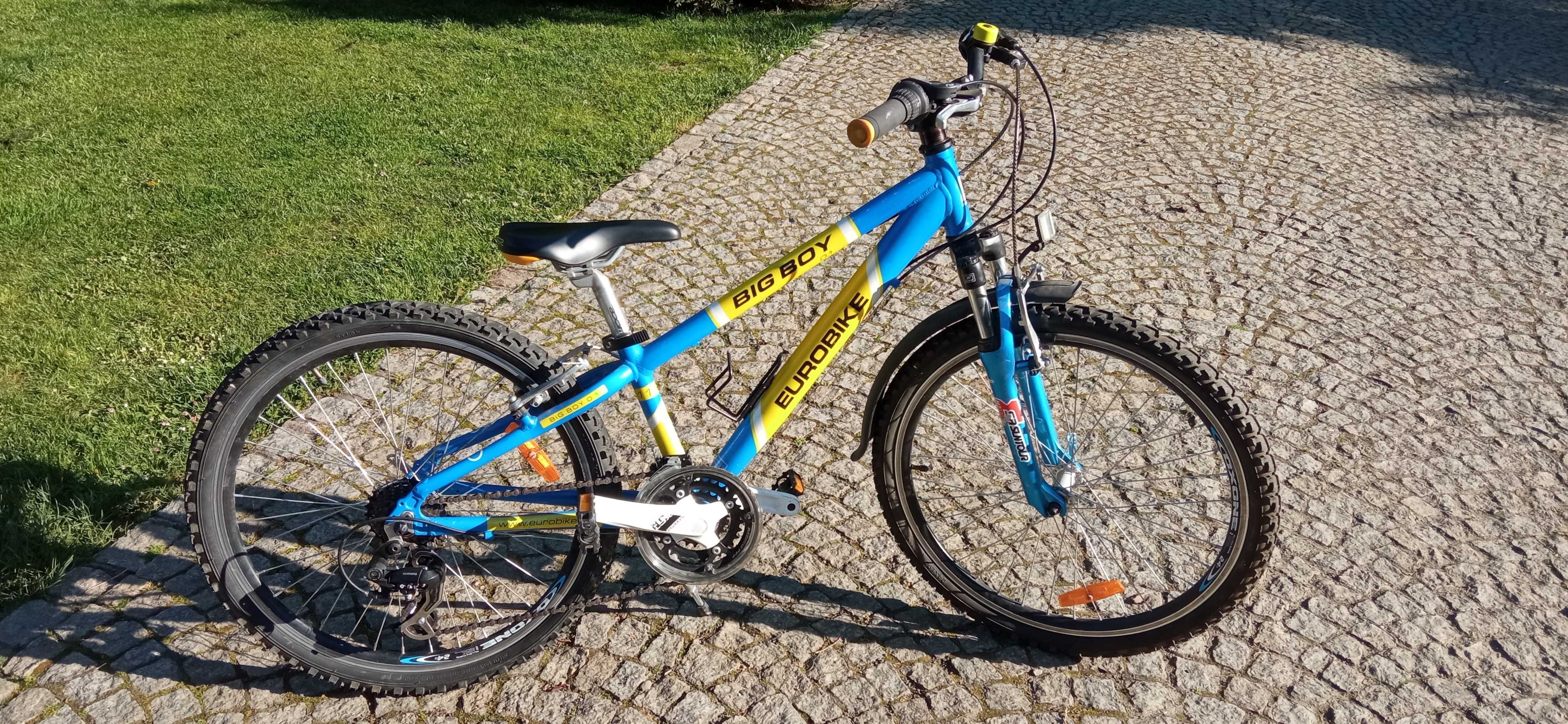 Rower dla dziecka Eurobike 24