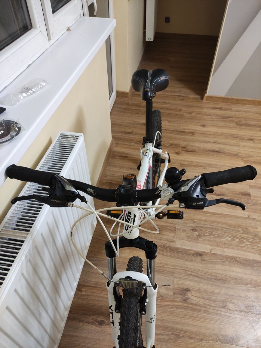 Rower CTM Charisma 26"