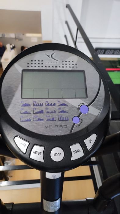 Elitica domyos negociavel