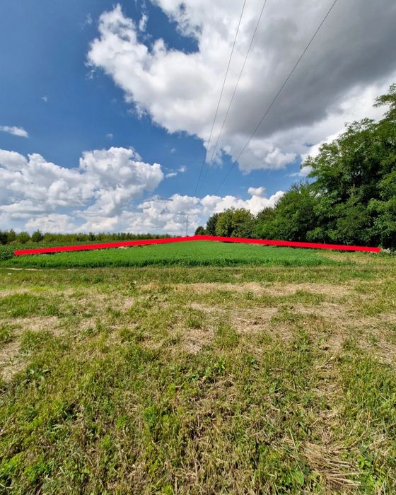Продам будинок с.Зелене Чортківський (Борщівський) р-н, Тернопіл. обл.