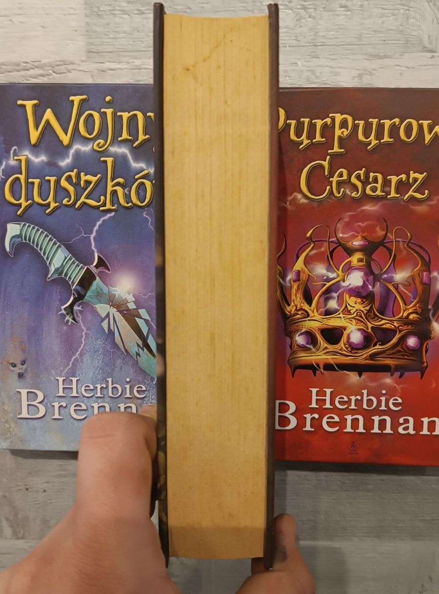 Herbie Brennan - Kroniki Wojen Duszków