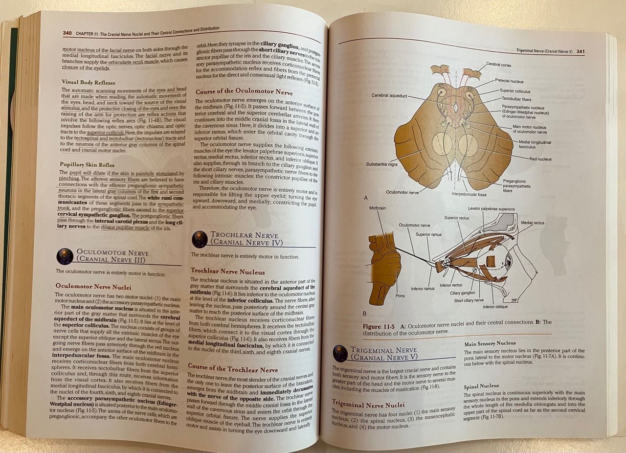 LIVRO Clinical Neuroanatomy - Snell (7.ª edição)