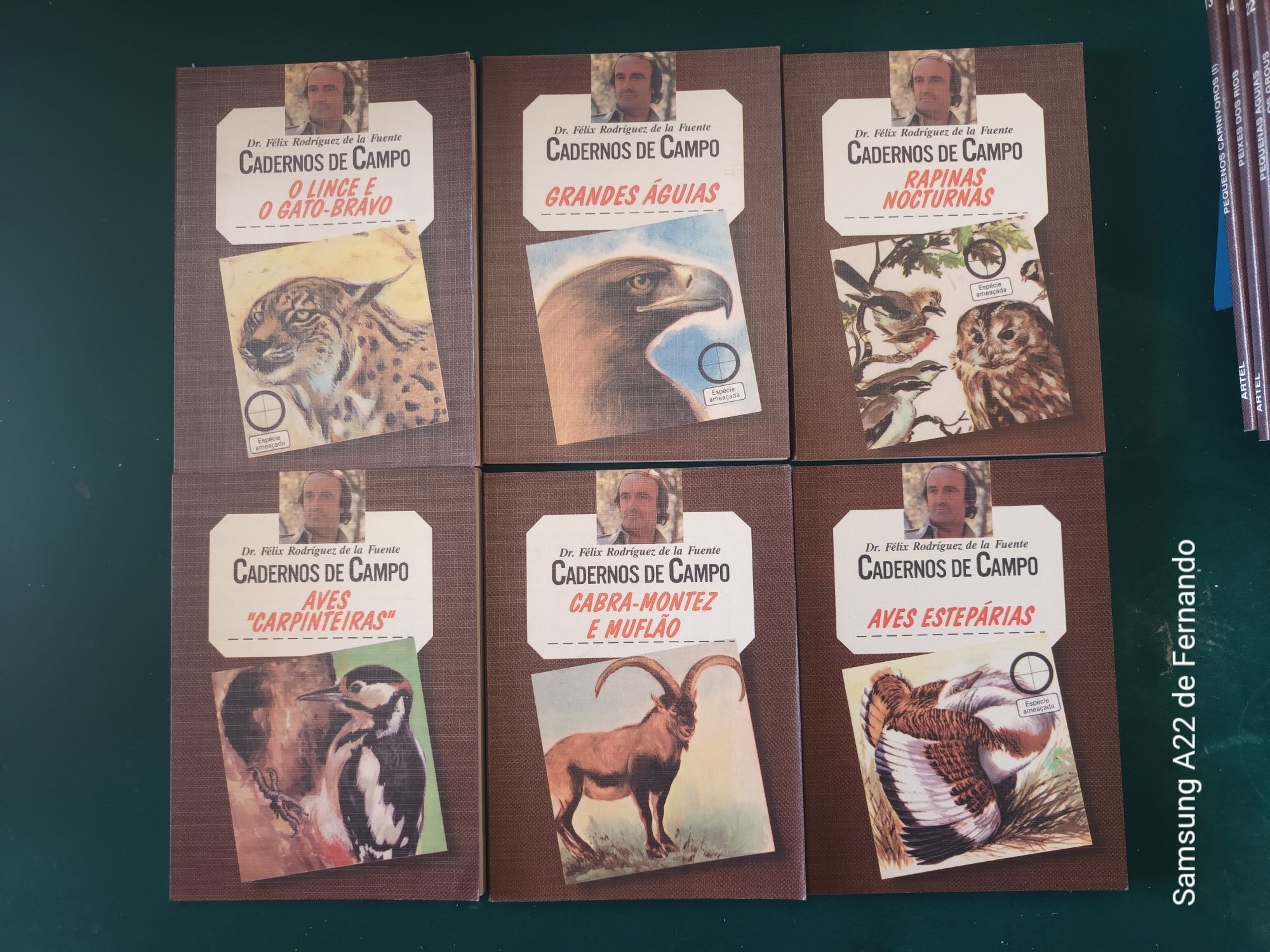 Cadernos do campo