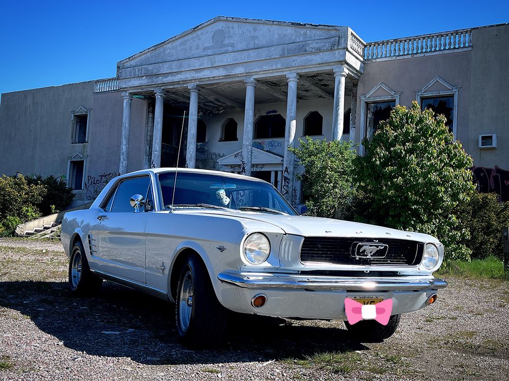 Samochód do ślubu Mustang 1966 Trójmiasto Pomorskie Auto Ślub Klasyk