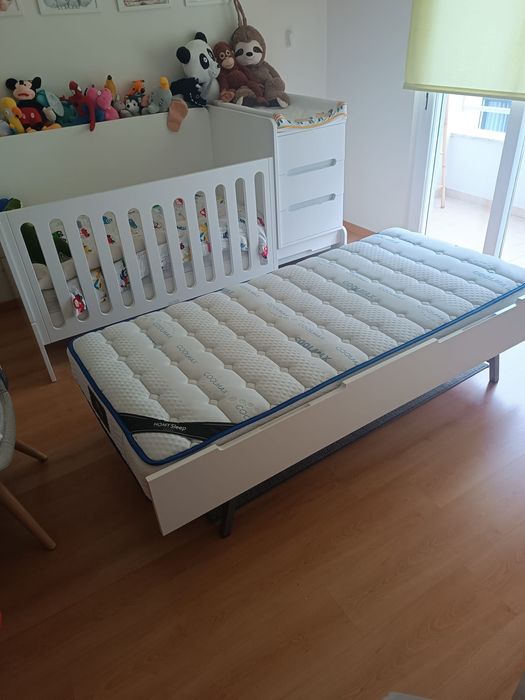 Berço Medular Trama