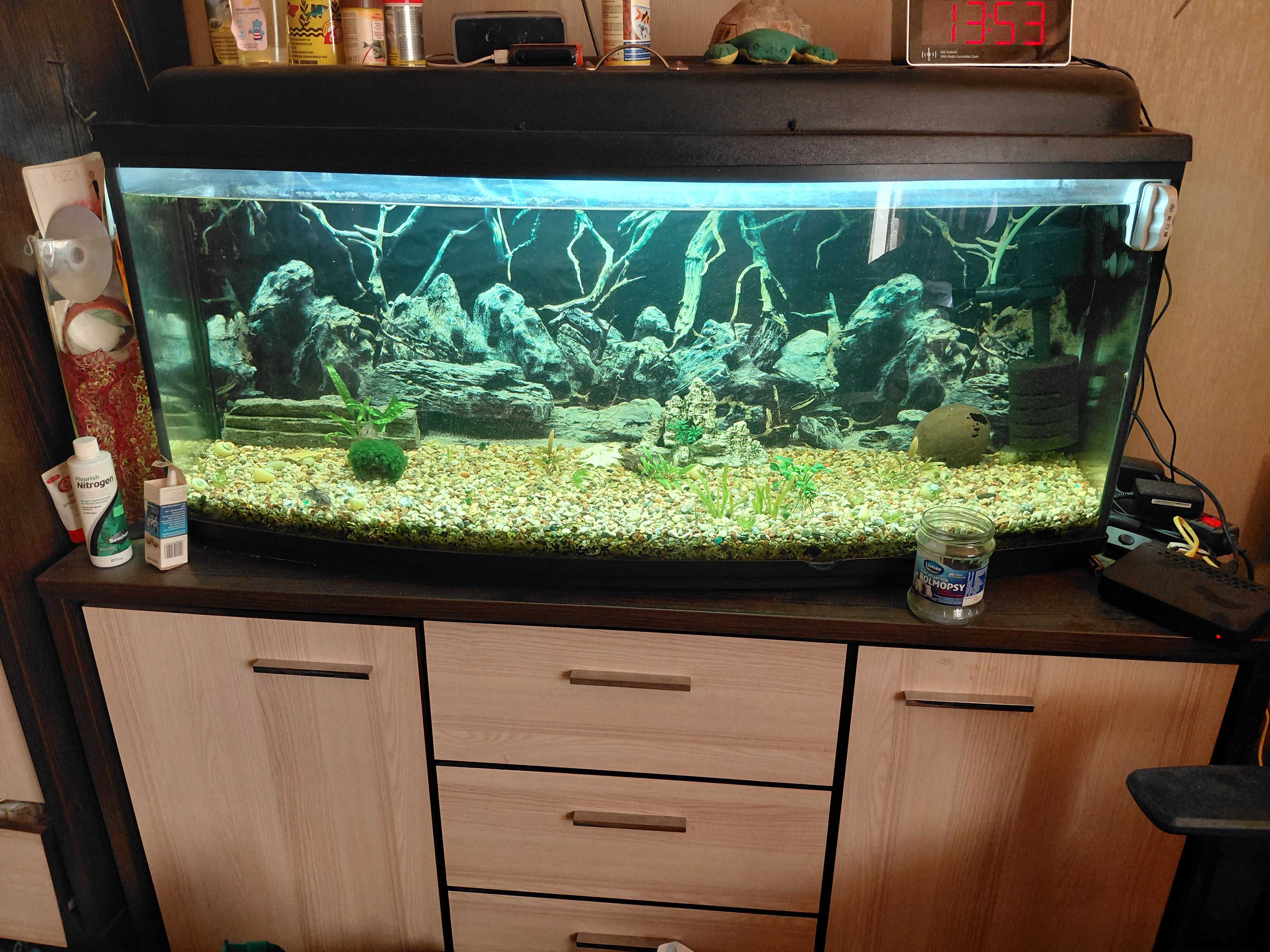 akwarium  240 l panoramiczne