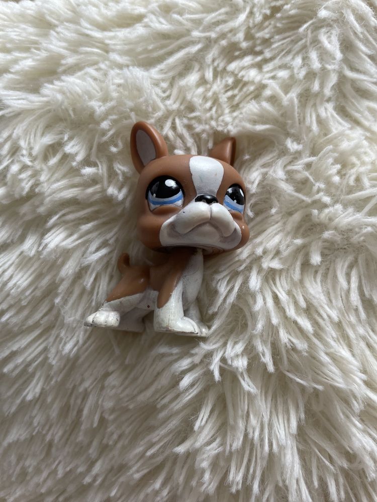 Figurka Littlest Pet Shop