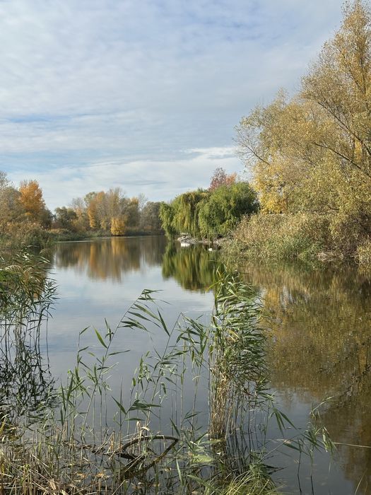 Продам участок Обуховка 10 соток