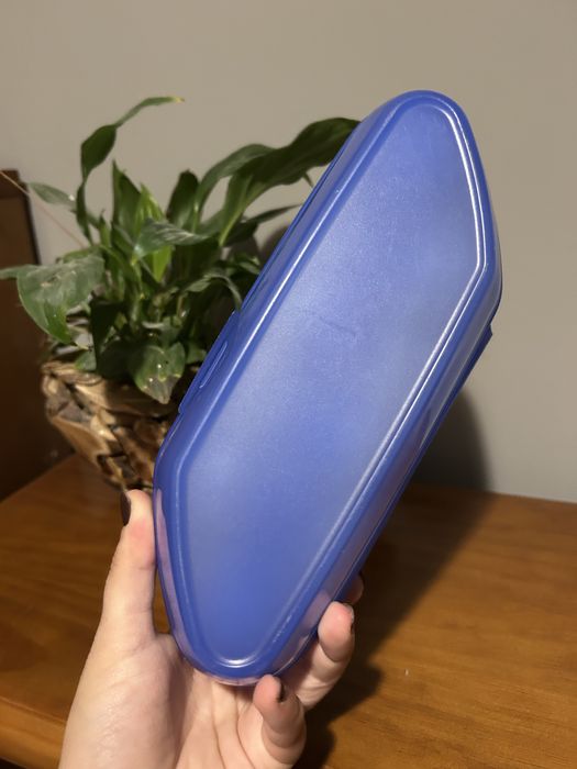 Caixa ovos tupperware