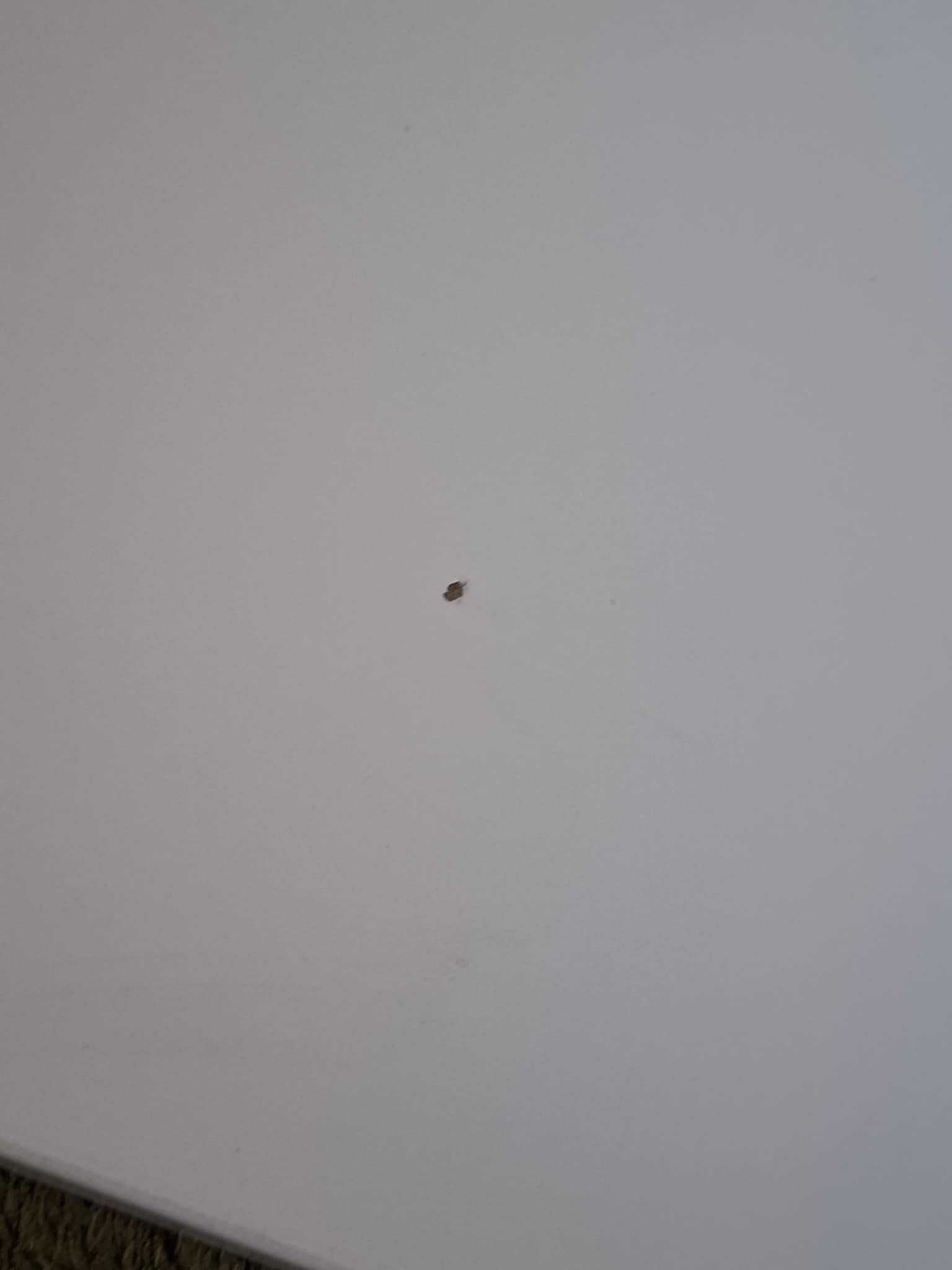 Ikea Stuva Malad. Dwa panele z haczykami