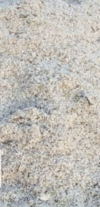 Жом свіжий та чистий