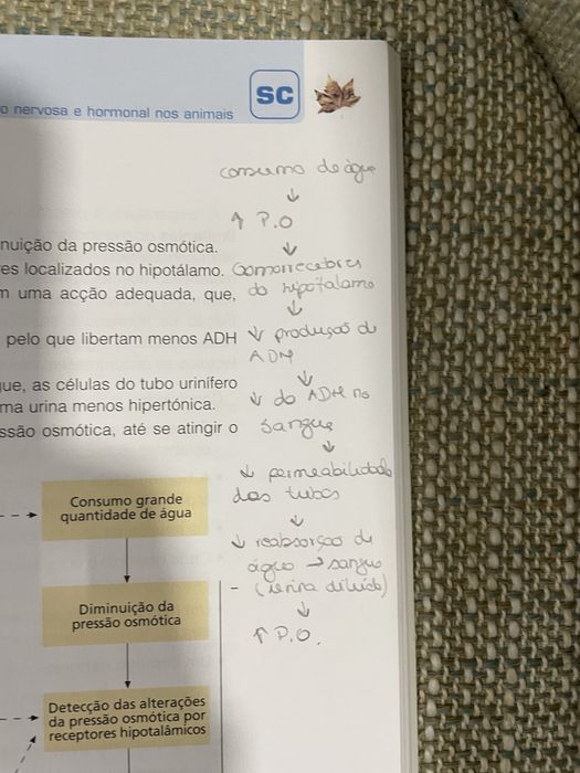 Guia de Estudo Biologia 10 ano