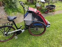 Rower elektryczny e bike towarowy do wożenia dzieci przyczepka zwierzą