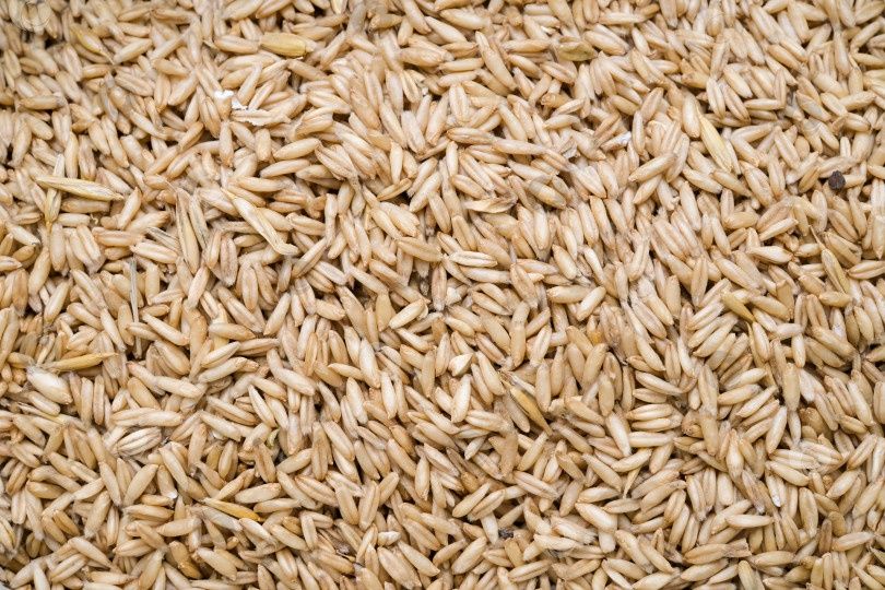 Продам  пшеницу, овёс, ячмень