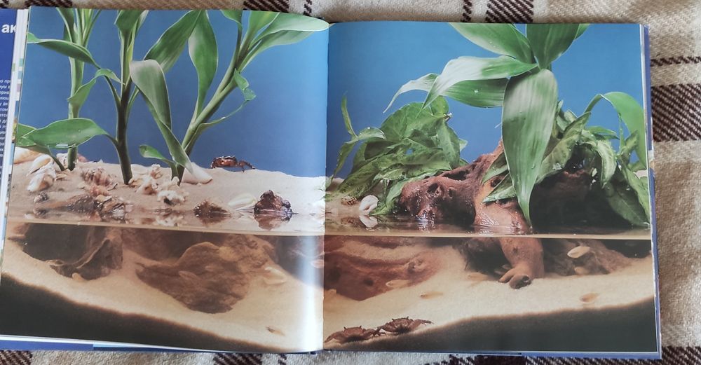 Книга "Аквариумный дизайн | Мэттью Кристиан"