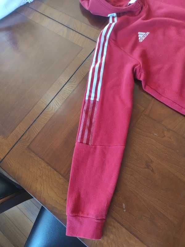 bluza adidas z kapturem czerwona