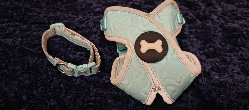 Szelki dla psa i obroża