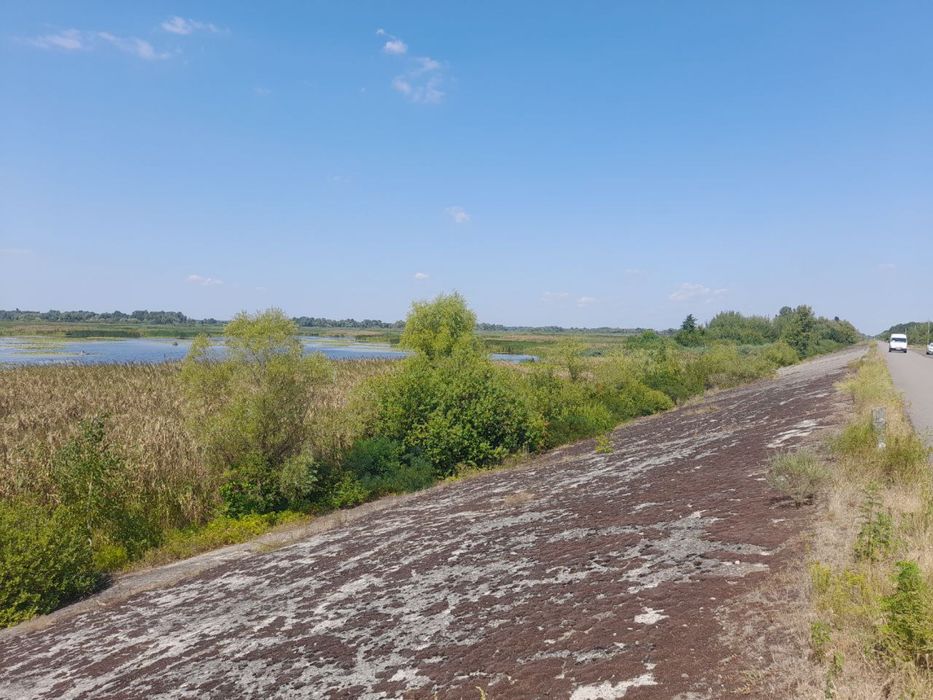 Можливий Обмін на авто Прадо 20 сотих вихід на Дніпро Проців Процев