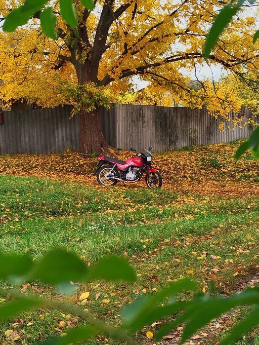 Продам мотоцикл Viper Zs150j