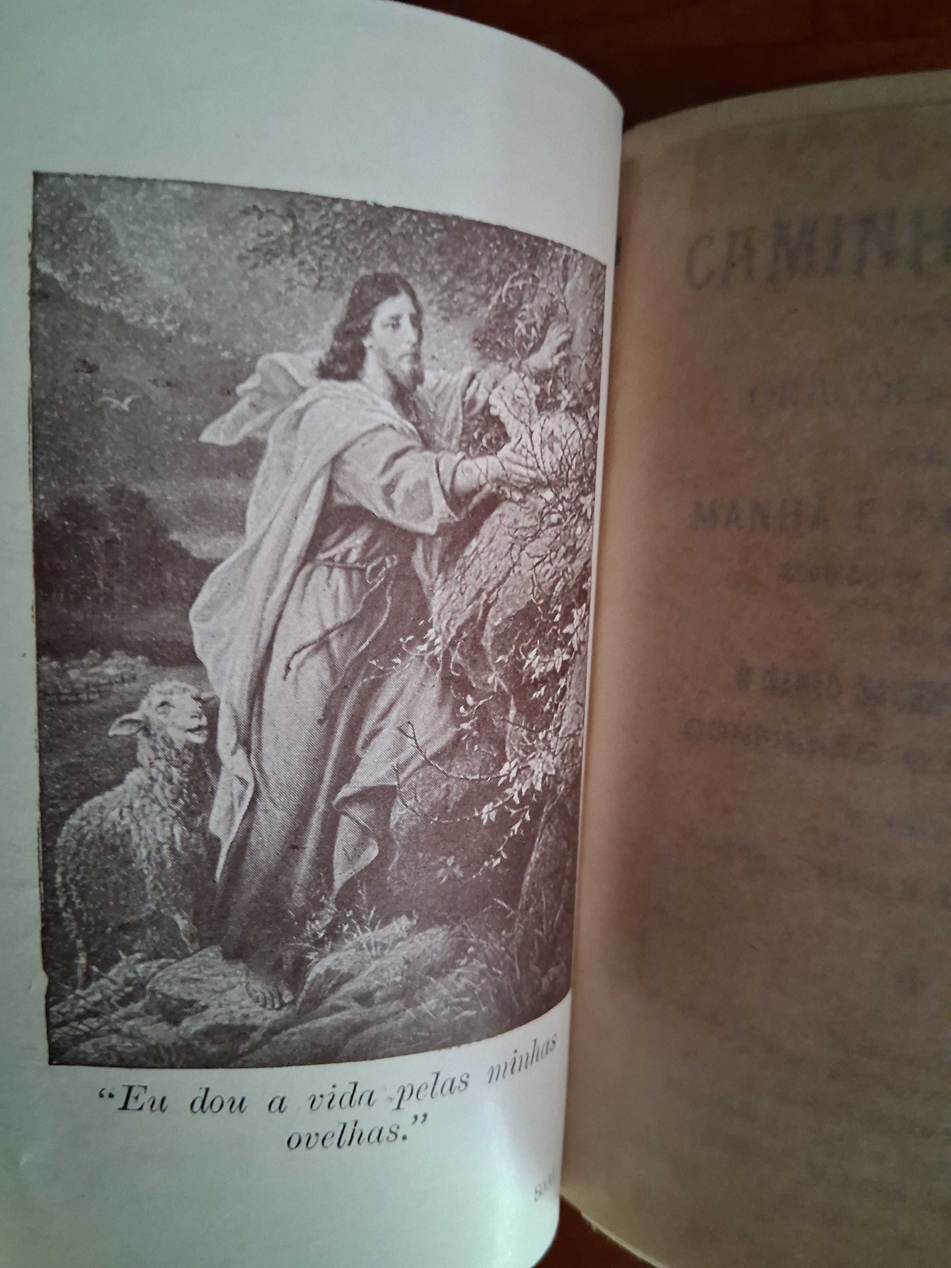 Caminho do Céu - orações devotas