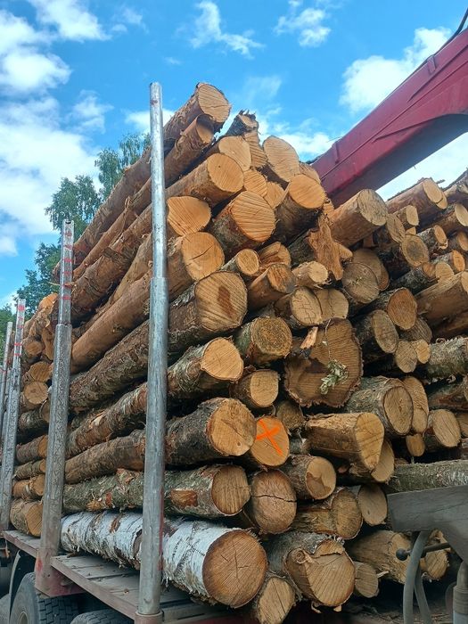 BRZOZA drewno kominkowe opałowe TRANSPORT do klienta. olcha