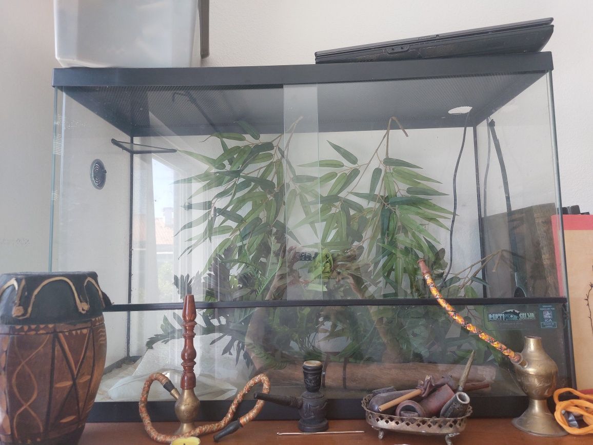 Terrario reptiselva