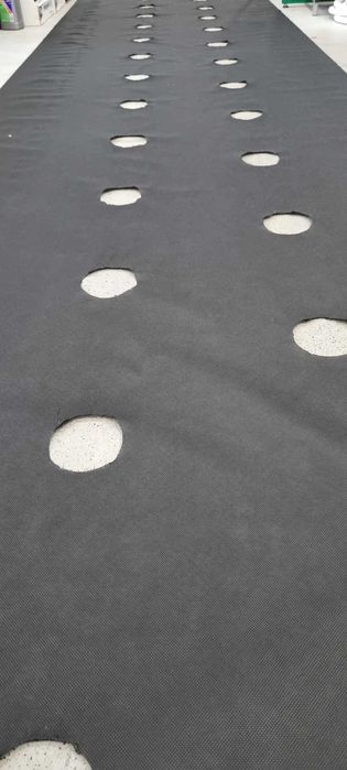 Agrowłóknina z otworami 1,2 m x 500 m długości