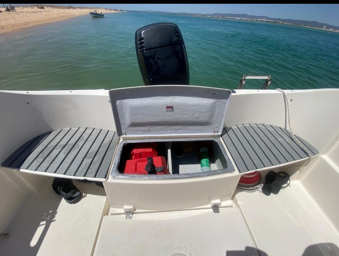 Quicksilver 540  Cruiser