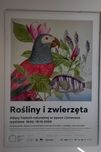 Plakat Rośliny i zwierzęta w antyramie 70 cm x 100 cm (szkło)