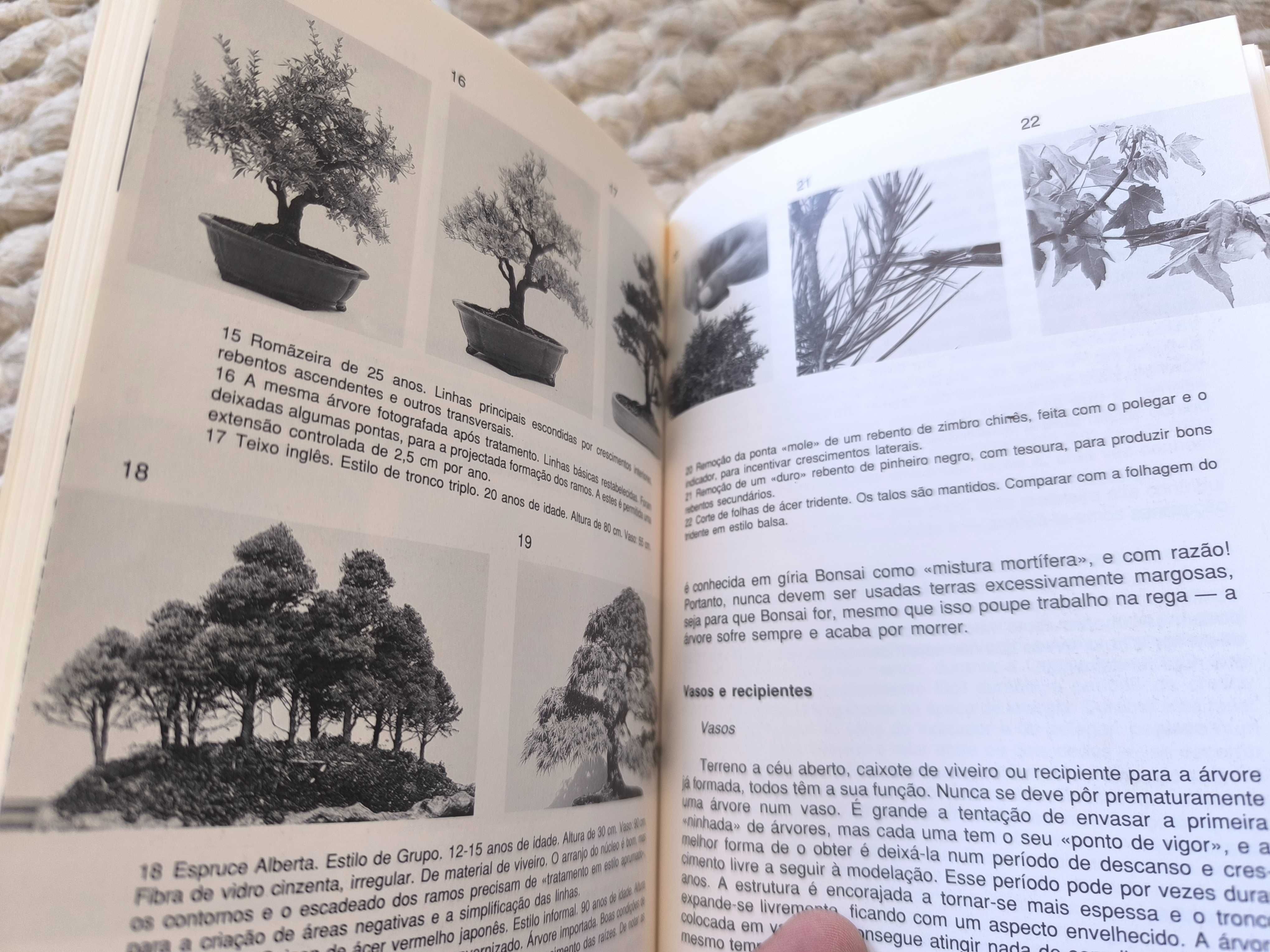 A Arte do Bonsai
de Peter Adams