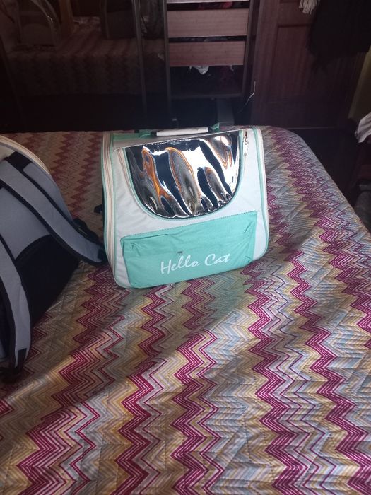 Varias mochilas para transporte de animais